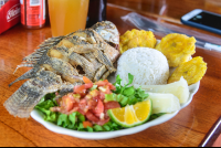        Whole Tilapia With Patacones Boild Cassava Rice And Salad Lunch Waterfall Tour Manuel Antonio
  - Costa Rica