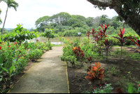        Crocodile Tour Garden
  - Costa Rica