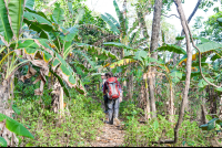        La Leona Second Growth Forest
  - Costa Rica