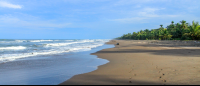       tortuguero national park attraction beach 
  - Costa Rica