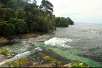        caribbean adventure snorkeling dolphin watching punta mona coast 
  - Costa Rica