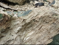        mineral sediments of water in samara 
  - Costa Rica