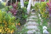        Trail Surf Vista Villas
  - Costa Rica