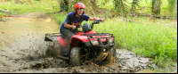        fourtrax puddle 
  - Costa Rica