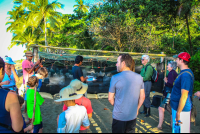        Talk Turtle Hatching At Piro Beach Costa Rica
  - Costa Rica