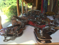        equipment ready at wingnutscanopy 
  - Costa Rica