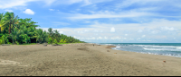        tortuguero beach attraction sand 
  - Costa Rica