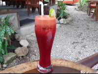        Juice Shambala Restaurant
  - Costa Rica