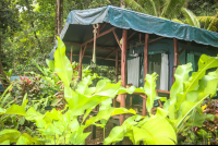       La Leona Tent Cabin Exterior Costa Rica
  - Costa Rica