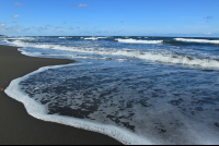        playa grande foam 
  - Costa Rica