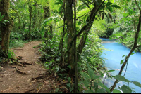        rio celeste trail river 
  - Costa Rica