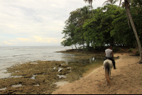        terraventuras beach horseback ride fossilzed reef 
  - Costa Rica