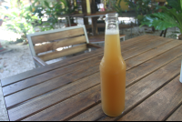        ginger kombucha luvburger 
  - Costa Rica