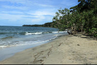        playa blanca footprints 
  - Costa Rica