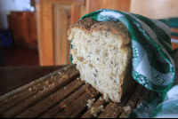        fresh bread lagarta lodge
  - Costa Rica