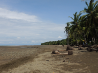        ballena aventura tour uvita beach 
  - Costa Rica