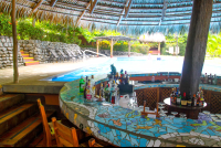        borrancho poolbar 
  - Costa Rica