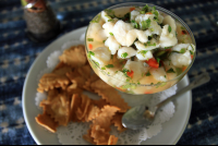        la parcela ceviche 
  - Costa Rica