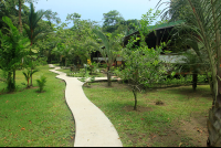        mawamba walkway 
  - Costa Rica