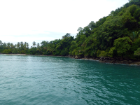        iguana catamaran tour manuel antonio national park 
  - Costa Rica
