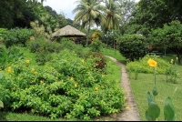        costa paraiso garden 
  - Costa Rica