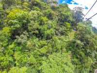        Forest View And Cable Going Into The Platform Tizati Zip Line Rincon De La Vieja
  - Costa Rica