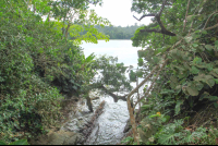       punta uva tidal gorge 
  - Costa Rica