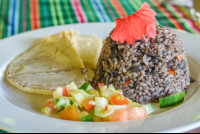        Gallo Pinto Finca Exotica Style
  - Costa Rica