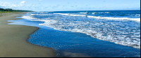        playa grande longview 
  - Costa Rica