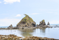        La Chancha Point From Sirena To La Leona Ranger Station
  - Costa Rica