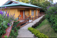        ficus rooms facade 
  - Costa Rica