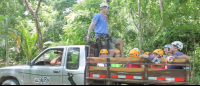        Truck Ride Up The Hill To Start Canopy Mal Pais
  - Costa Rica