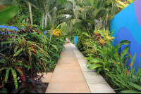        alma del pacifico walkway 
  - Costa Rica