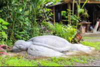        casa tortugo stone turtle 
  - Costa Rica