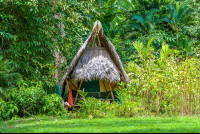        Tiki Tent At Finca Exotica Carate
  - Costa Rica