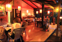        exotica interior 
  - Costa Rica