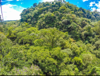        Lateral Forest View From The Tizati Zip Line Rincon De La Vieja
  - Costa Rica