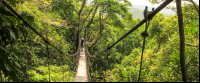        chiclets canopy tour suspension bridge 
  - Costa Rica