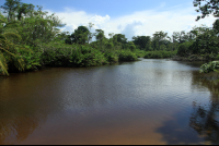        cahuita national park attraction page lagoon 
  - Costa Rica
