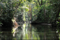        turtle beach canal 
  - Costa Rica