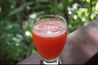        papaya juice mariposariobb 
  - Costa Rica