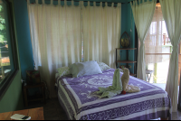        Bed When We Arrive Bird Cage
  - Costa Rica