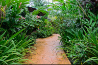        Blue River Resort Paved Trails
  - Costa Rica