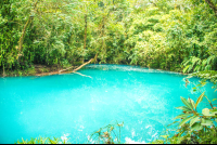        Blue Lagoon View From The Trail
  - Costa Rica