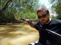        manglar isla mangrove kayak looking fly 
  - Costa Rica