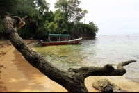        caribbean adventure snorkeling dolphin watching boat 
  - Costa Rica