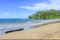        punta uva driftwood 
  - Costa Rica