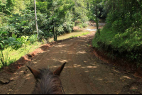       bijagual tour horseback 
  - Costa Rica