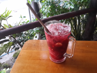        Sangria Montezuma Restaurant
  - Costa Rica
