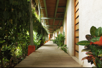        walkway sol samara 
  - Costa Rica